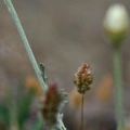 pic_simay_photo12.jpg