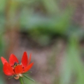 pic_simay_photo5.jpg