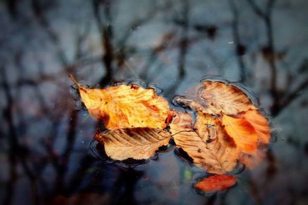 simay_photo1.jpg