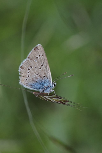 simay_photo2.jpg